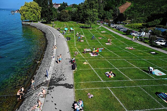 Sonnenbadende liegen an der Meersburger Uferpromenade auf einer Wiese, die die Stadt mit einem Fußballfeld-Streuwagen in ...