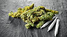 Die Polizei findet eine unerlaubte Menge Cannabis und eine Schreckschusswaffe in der Wohnung des Vöhrenbacher Angeklagten. (Symbolbild) ...