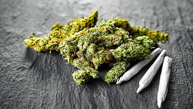Die Polizei findet eine unerlaubte Menge Cannabis und eine Schreckschusswaffe in der Wohnung des Vöhrenbacher Angeklagten. (Symbolbild) ...