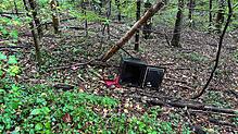 Ein aufgebrochener Tresor wurde in einem Wald bei Rheinfelden gefunden. Die Polizei sucht Hinweise.