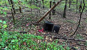 Ein aufgebrochener Tresor wurde in einem Wald bei Rheinfelden gefunden. Die Polizei sucht Hinweise.