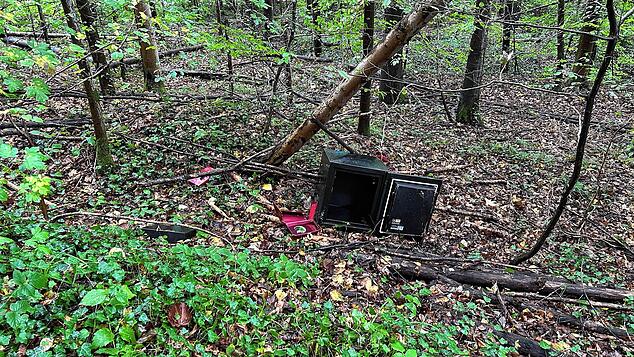 Ein aufgebrochener Tresor wurde in einem Wald bei Rheinfelden gefunden. Die Polizei sucht Hinweise.