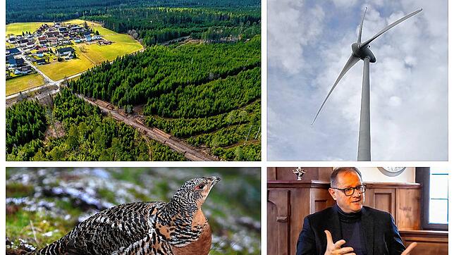 Ein Windpark im Neuhäuslewald (links oben). Dafür ist Oberbürgermeister Jürgen Roth. Er argumentiert, dass dort keine Auerhühner mehr ...