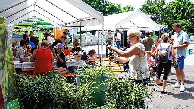 Basteln und Dekorieren mit landwirtschaftlichen Erzeugnissen stieß bei ganzen Familien auf großes Interesse.