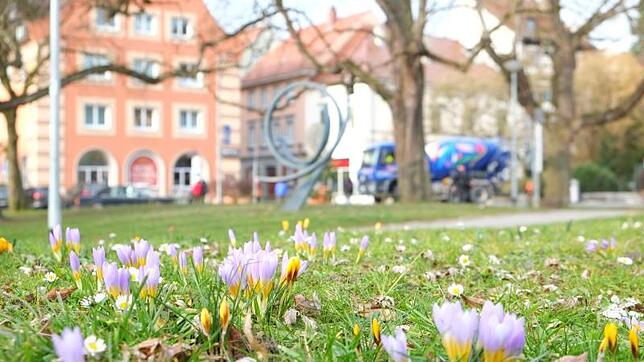 Am Chantilly-Platz kündigt sich bereits der Frühling an. Dass dort im kommenden Winter die Eisbahn aufgestellt werden soll, bewegt die ...