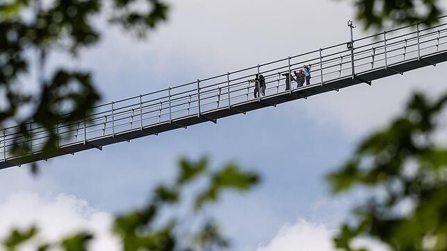In bis zu 100 Meter Höhe führt die Hängebrücke in Willingen übers Tal. Der Skywalk Willigen ist die längste Fußgänger-Hängebrücke ...