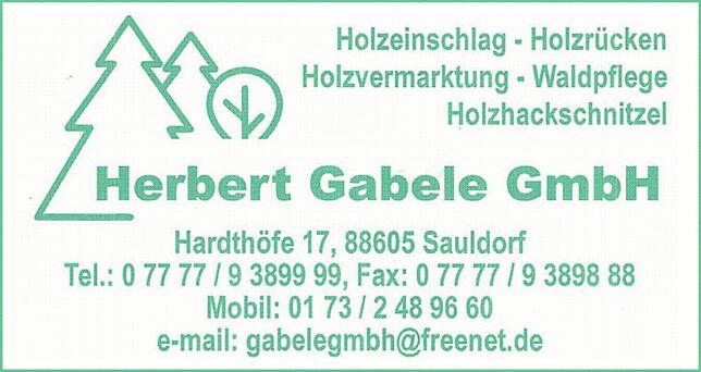 Bild 13: 50 Jahre Gesamtgemeinde Sauldorf: Beim Jubiläumsempfang werden vielfältige Aktivitäten präsentiert
