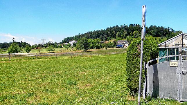 Auf dieser landwirtschaftlichen Fläche westlich von Kaltbrunn plant die Gemeinde Allensbach das Neubaugebiet Breite. Im Hintergrund zu ...