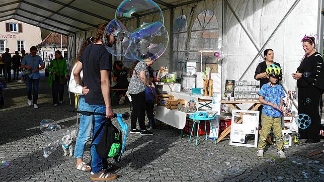 Bild : Bilder von der Kulturnacht in Laufenburg