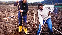 Aus einem Acker entstand in Wallbach Ende der 80er Jahre die BUND-Wiese. Das Bild zeigt Bernhard Ebner und Bernhard Biendl beim Pflanzen.