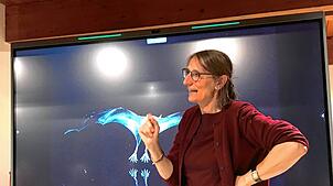 Professorin Annette Denzinger von der Universität Tübingen bietet den Zuhörern im Görwihler Pfarrheim spannende Informationen zur Welt ...