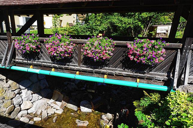 Immer ein Hingucker ist der Schmuck an der Fußgängerbrücke über die Steina, der von den Landfrauen gepflegt wird. Links unten die neue ...