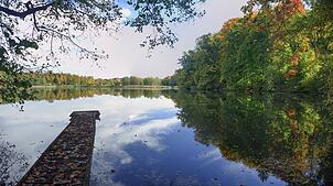 Die Salemer Klosterteiche wurden einst von Zisterzienser-Mönchen zur Fischzucht angelegt. Heute bietet es Idylle pur und ist ein ...