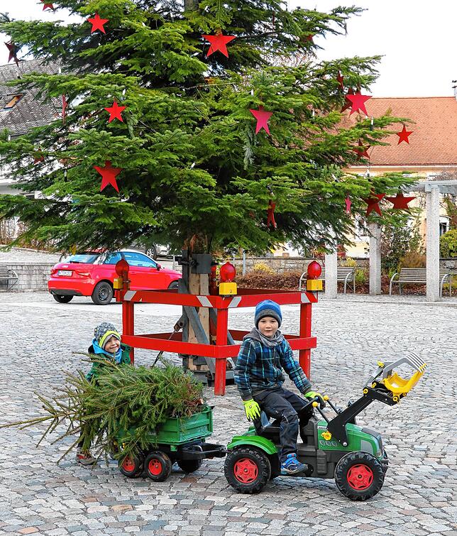 Auch die Jüngsten holten schon einen Weihnachtsbaum ab