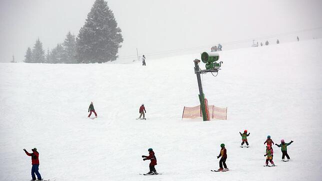 Eine Gruppe eines Skikurses fährt am 10.01.2017 eine Piste auf dem höchsten Berg des Schwarzwaldes, dem Feldberg (Baden-Württemberg), ...