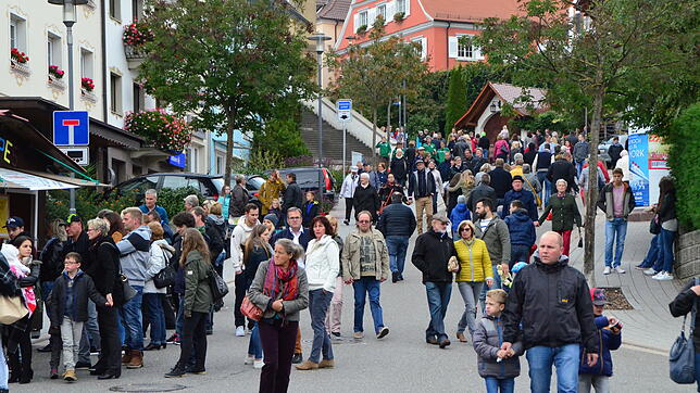 Stockachs Innenstadt ist am Apfeltag immer lebendig und bunt. Viele Besucher nutzen den Tag für gute Unterhaltung und zum Bummeln. ...