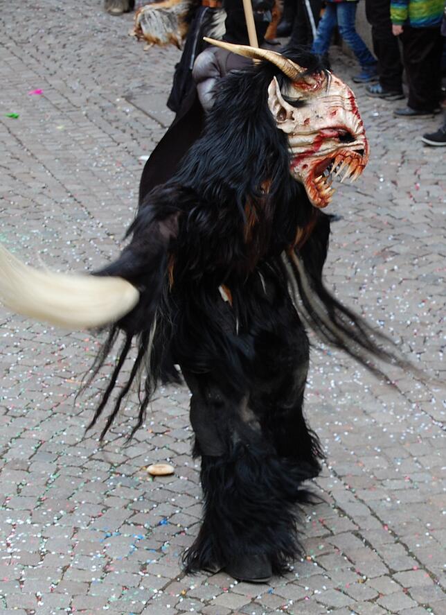 Bild 6: Bilder vom Fasnachtsumzug in Laufenburg