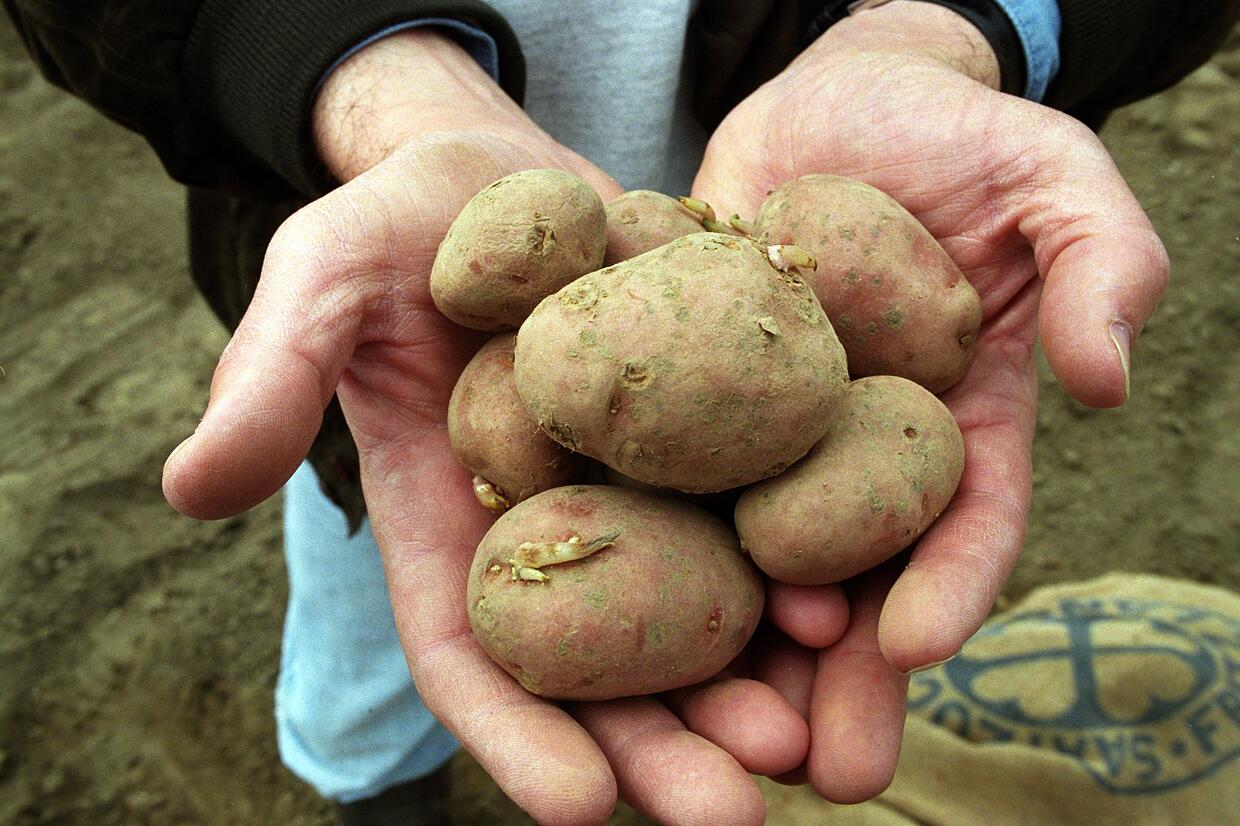 Diabetes mellitus Dürfen Diabetiker Kartoffeln essen? SÜDKURIER