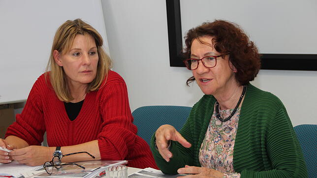 Die Grünen-Landtagsabgeordnete Dorothea Wehinger (rechts) hatte zum 4. Fachgepräch zum Thema "Alleinerziehende" die Geschäftsführerin ...