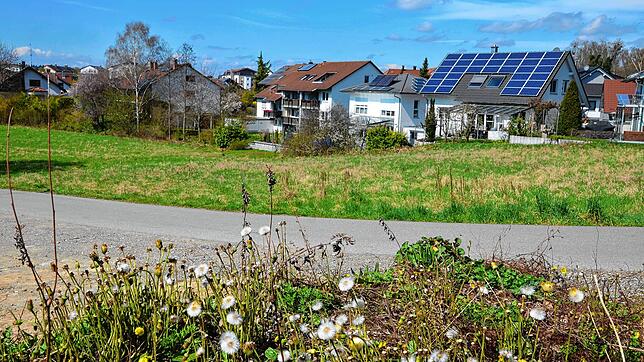 Auf dieser Fläche unterhalb der Ensisheimer Straße wird die dritte Grundschule gebaut werden. Der Gemeinderat hat nun den Bebauungsplan ...