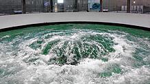 Der Quelltopf der Bodenseewasserversorgung BWV auf dem Sipplinger Berg. Die Überlinger haben ihre eigenen Quellen und ebenfalls Pumpen ...