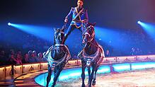 Bild : Die Manege ist eröffnet! Bilder vom Premierenabend des Circus Krone in Konstanz