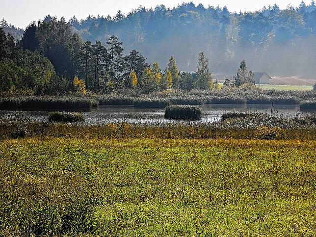 Der Barchetsee ist seit 1991 ein Naturreservat und liegt in der Gemeinde Neunforn im Schweizer Thurgau.