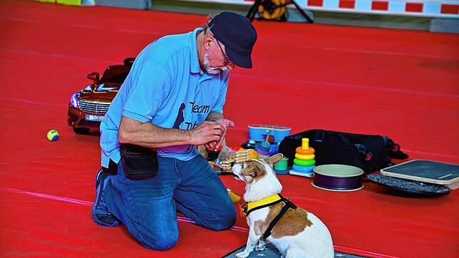 Ein eingespieltes Team sind Rüdiger Kramer und sein Hund Toby, der tolle Tricks zeigt.