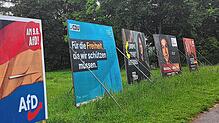 Eins am anderen, aber noch schön geordnet: Lauter Wahlplakate stehen 2024 in Villingen-Schwenningen. Künftig soll den Parteien nach dem ...