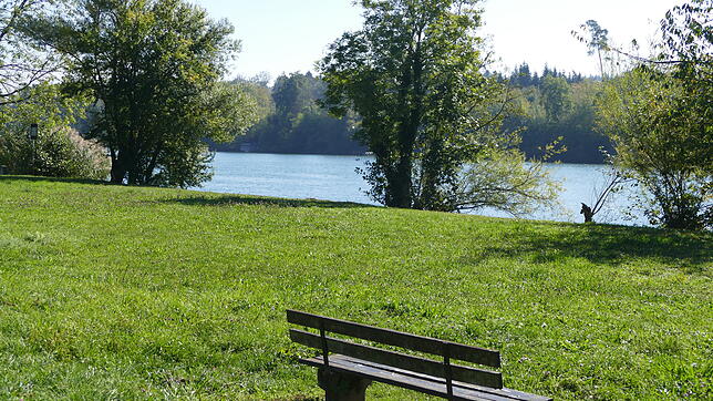 Die direkte Lage Schwörstadts am Rhein bietet interessante Ansatzpunkte für attraktive Freizeitangebote.