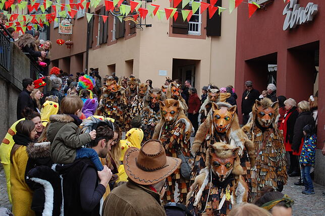 Bild 22: Bilder vom Fasnachtsumzug in Laufenburg