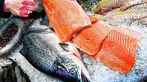 Vor allem Zuchtlachs aus Norwegen ist in Deutschland sehr beliebt.