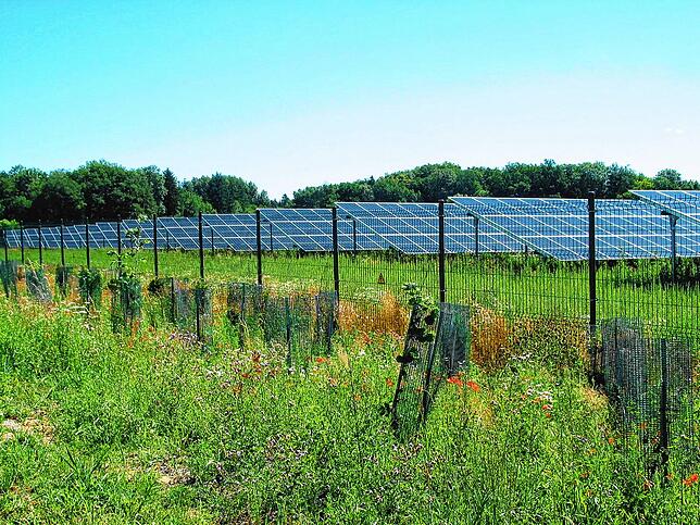 Der &bdquo;Solarpark Rumisbohl&ldquo; in Mühlhausen-Ehingen.