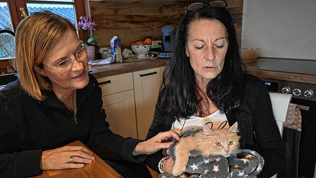 Petra Schubert (links) und Patricia Sinner von der Katzenhilfe Sipplingen und Umgebung haben die Petition gestartet. Hier mit Elsa, ...