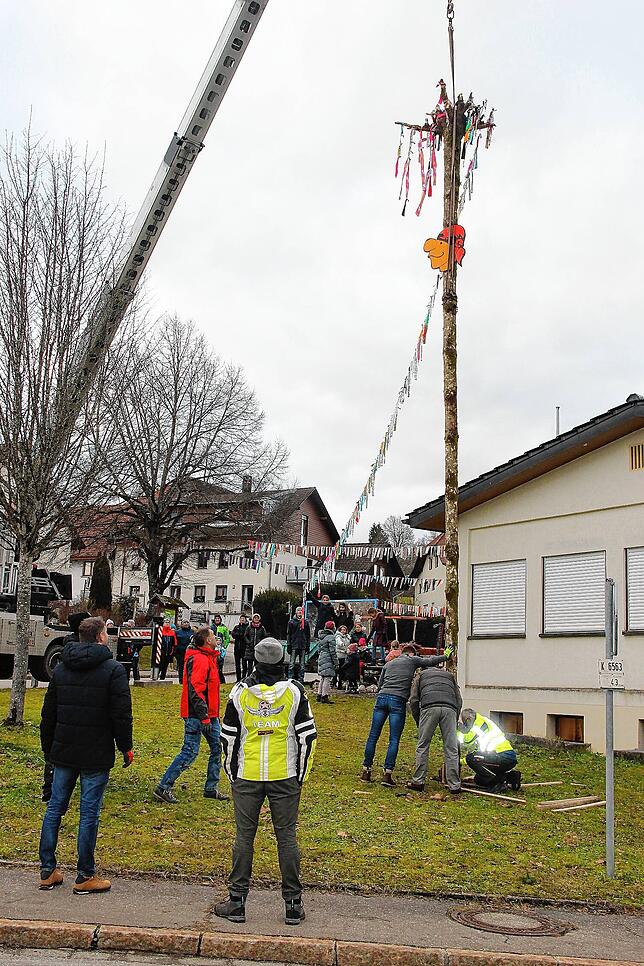 Mit vereinten Kräften wurde der Narrenbaum in Oberalpfen gestellt.