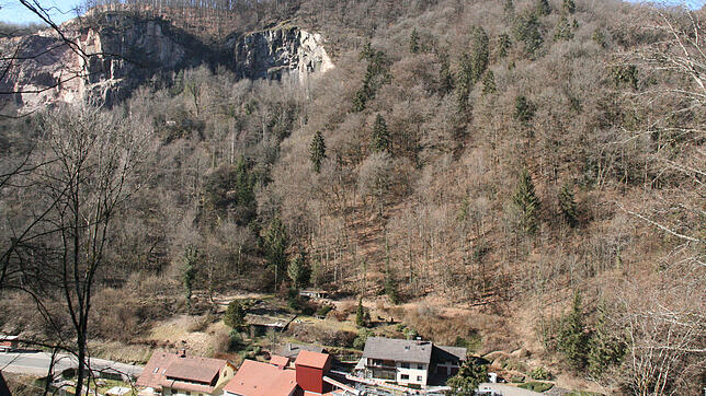 Blick vom Albsteig nach Tiefenstein: Am unteren Bildrand befindet sich die Albtalmühle. Oberhalb des gegenüberliegenden Wohnhauses soll ...
