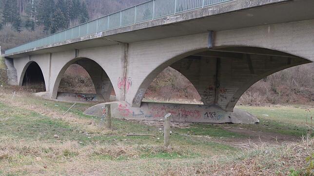 Die Geisinger Donaubrücke wird ab 18. Dezember für den Schwerverkehr gesperrt. Der Grund sind Schäden und Korrosion an der Statik, auch ...