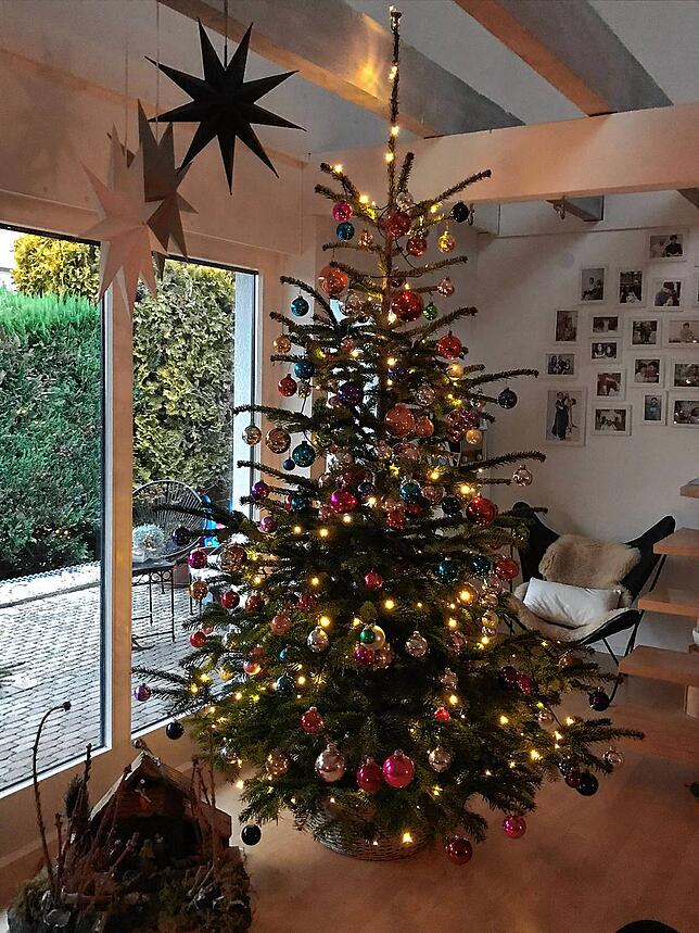 Der Weihnachtsbaum von Familie Ziegler.