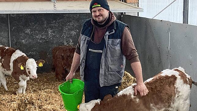 Landwirt Michael Schwander bei seinen Kälbchen: Zukunftsangst kennen er und seine Frau Marita Schwander gut, nicht jedoch die Angst von ...