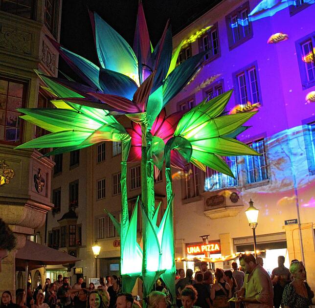 Wunderbare Lichtskulpturen schmückten die Altstadt von Schaffhausen.