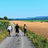 Landschaftlich abwechslungsreich ist der Katzenbuckweg, fernab vom Touristenrummel. Freie Sicht in die Landschaft, Dickicht und Wald ...
