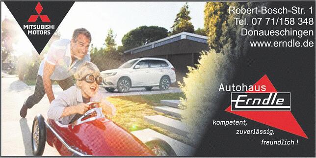 Bild 3: Kfz Service Donau: Elektrisch, alltagstauglich, SUV