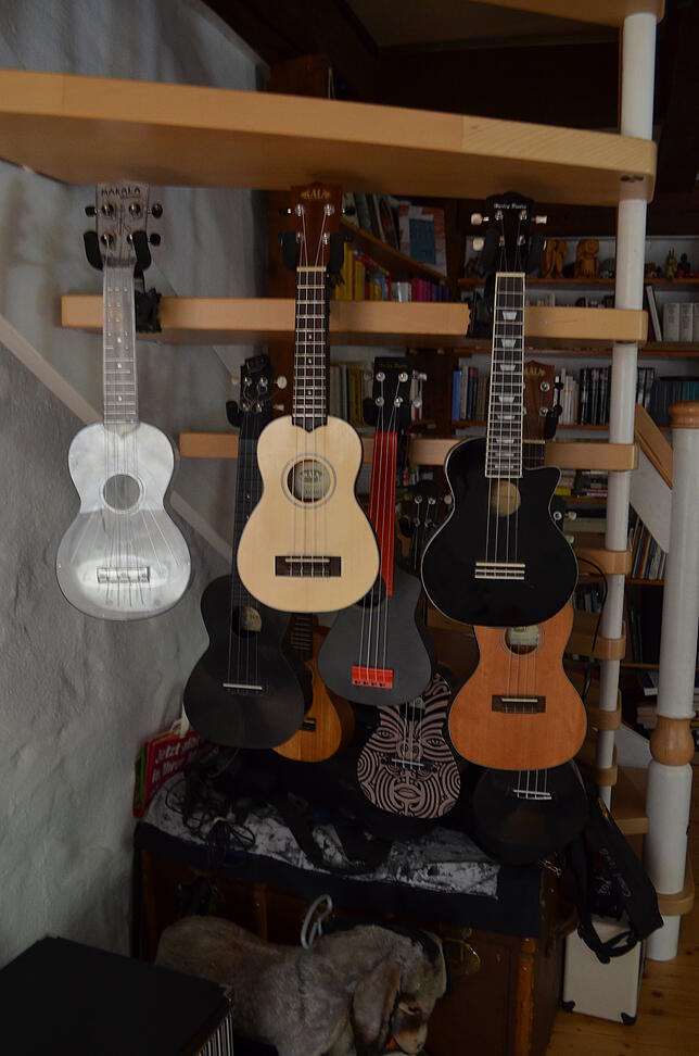 Bild 1: Mit einer Ukulele fand er zurück ins Leben. Jetzt will ein Schweizer mit dem Instrument Menschen in Konstanz zusammenbringen