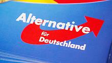Das Logo der AfD auf einem Flyer.