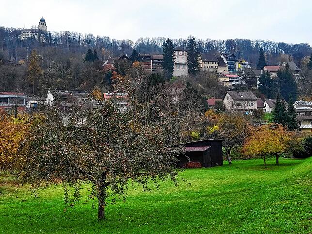 Die Altstadt Stühlingens und das Schloss Hohenlupfen (links oben).