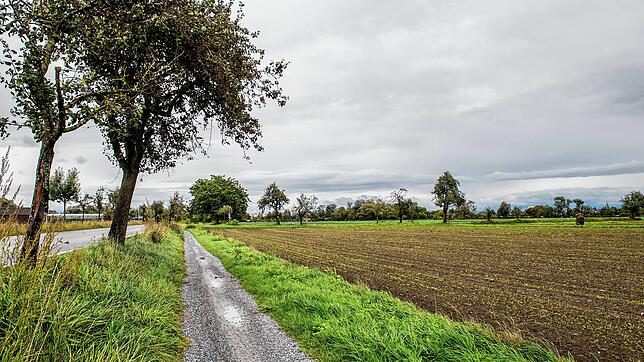 Das Tägermoos ist den Konstanzern wichtig. Für sie geht es dabei um mehr als nur Gemüseanbau, es ist auch ein Naherholungsgebiet. Und ...