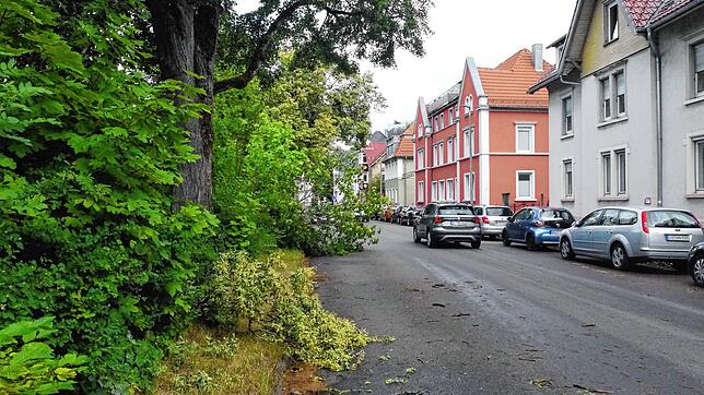 Durchfahrt unmöglich &ndash; ein abgebrochener Baum und mehrere Äste blockieren nach dem Unwetter einen Fahrstreifen in der ...