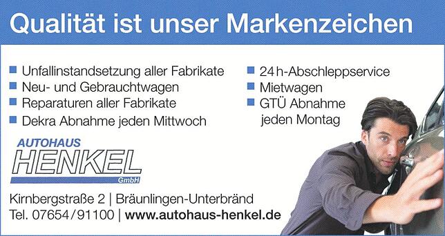 Bild 2: Kfz Service Donau: Elektrisch, alltagstauglich, SUV