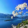 Coronavirus trübt das Idyll: Abgesagt hat die Volkshochschule Waldshut-Tiengen eine Tagesfahrt an den Lago Maggiore.
