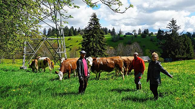 Die Landwirte aus dem Raum Löffingen &ndash; wie hier, von links, Rudolf Heiler und Rainer Zepf &ndash; vertrauen der Weidewartin Aneta ...